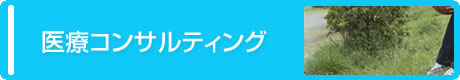 医療コンサルティング